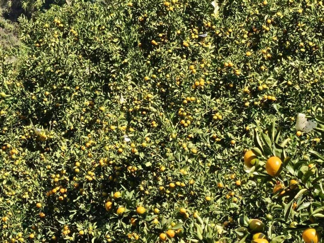 2efb22e05b9c46b6506120a594d28bc9.jpg 2efb22e05b9c46b6506120a594d28bc9.jpg