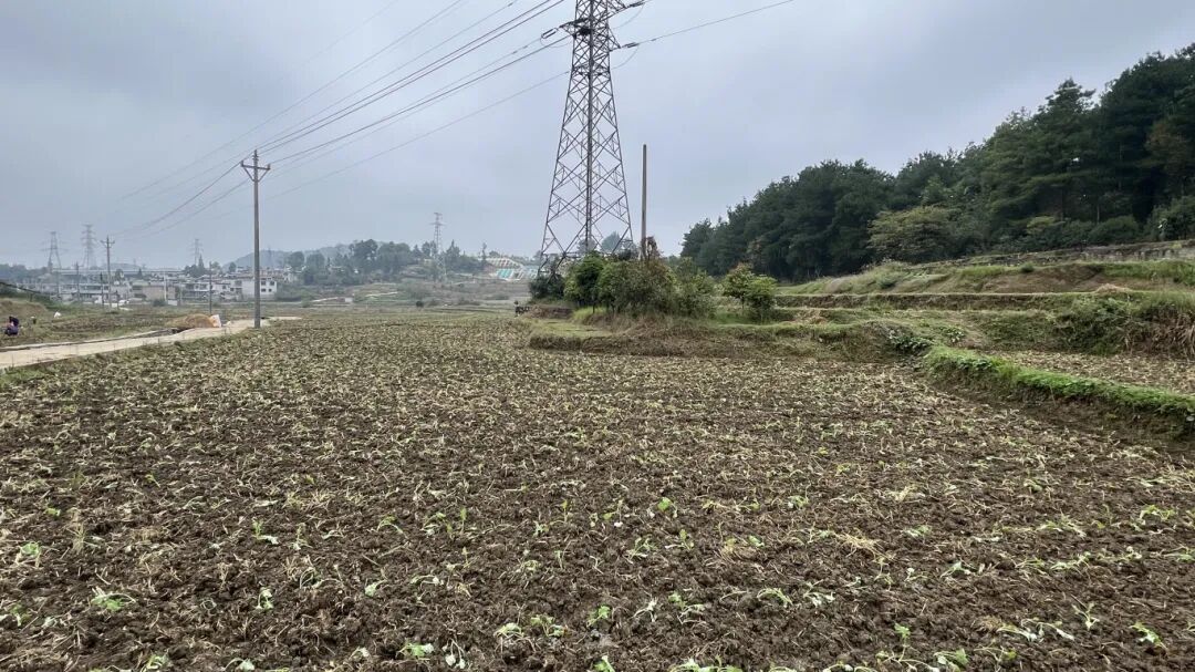 1e713c4bbb9378717bf95eb290cd1dbc.jpg 1e713c4bbb9378717bf95eb290cd1dbc.jpg