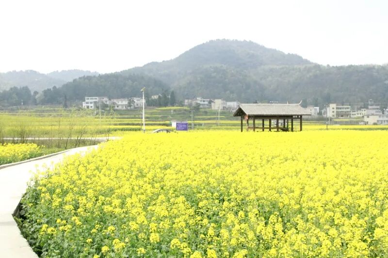 6641c89abb05ef932f83a240e6411276.jpg 6641c89abb05ef932f83a240e6411276.jpg