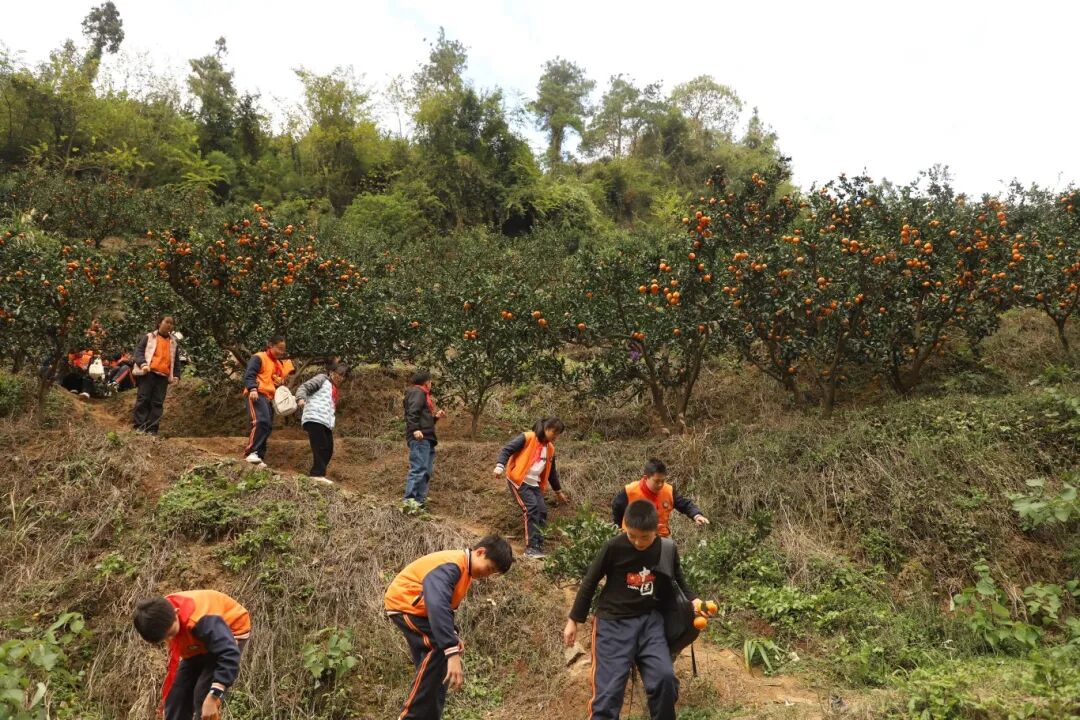 69340a519c3b5cd53533860e8a3199e1.jpg 69340a519c3b5cd53533860e8a3199e1.jpg