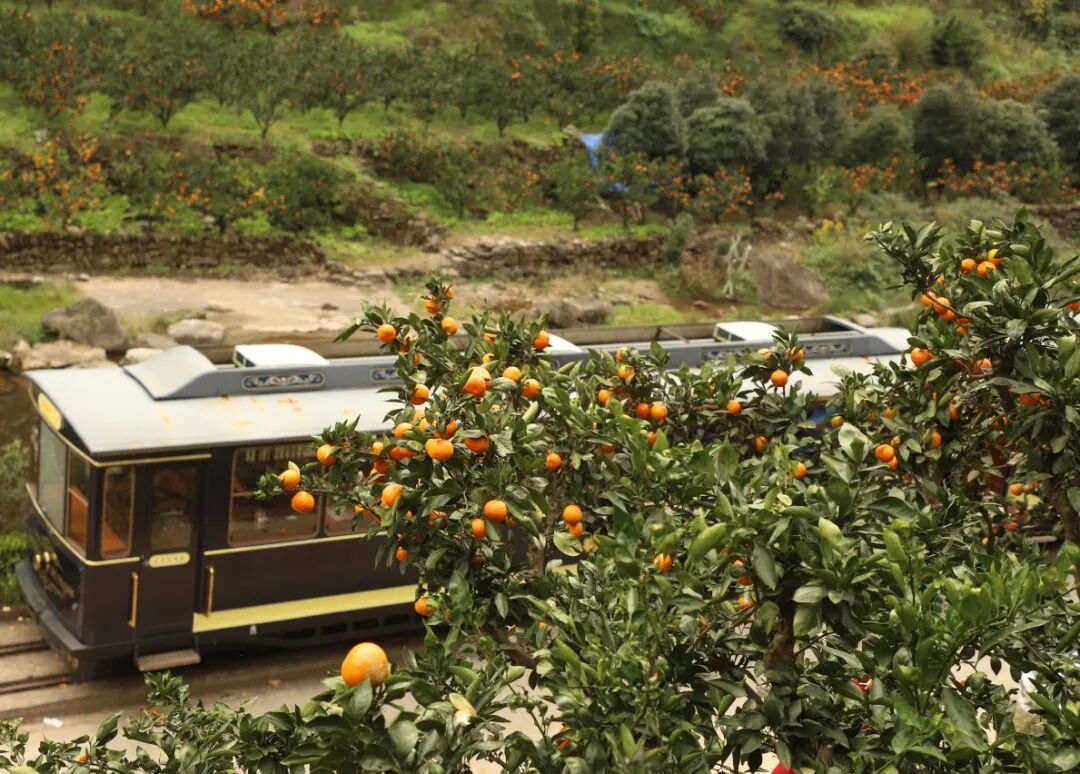 30c373bc6d13e9b5cd0ab9d695109fd4.jpg 30c373bc6d13e9b5cd0ab9d695109fd4.jpg